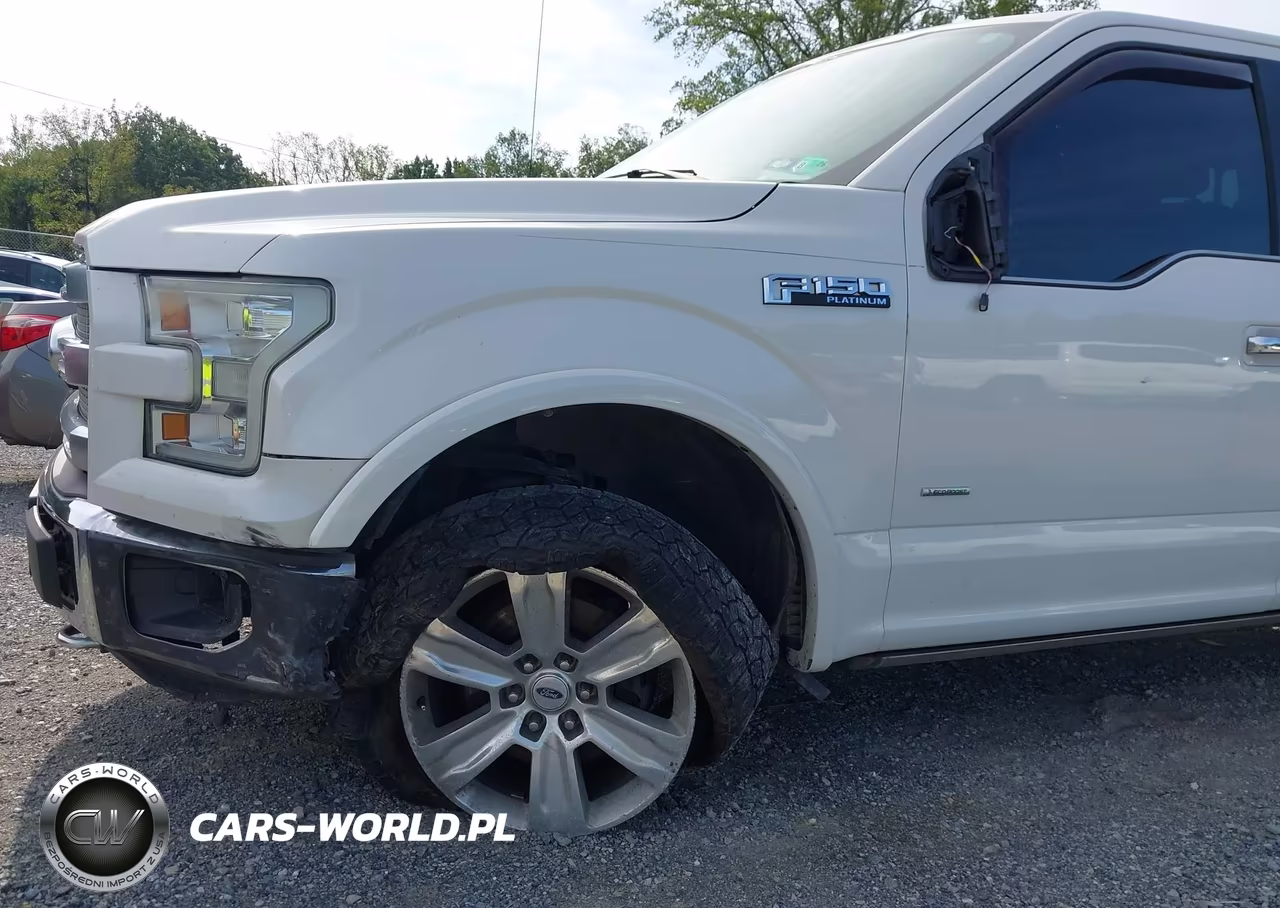 2015 Ford F-150 Platinum VIN:1FTEW1EG0FFB87410 - 17