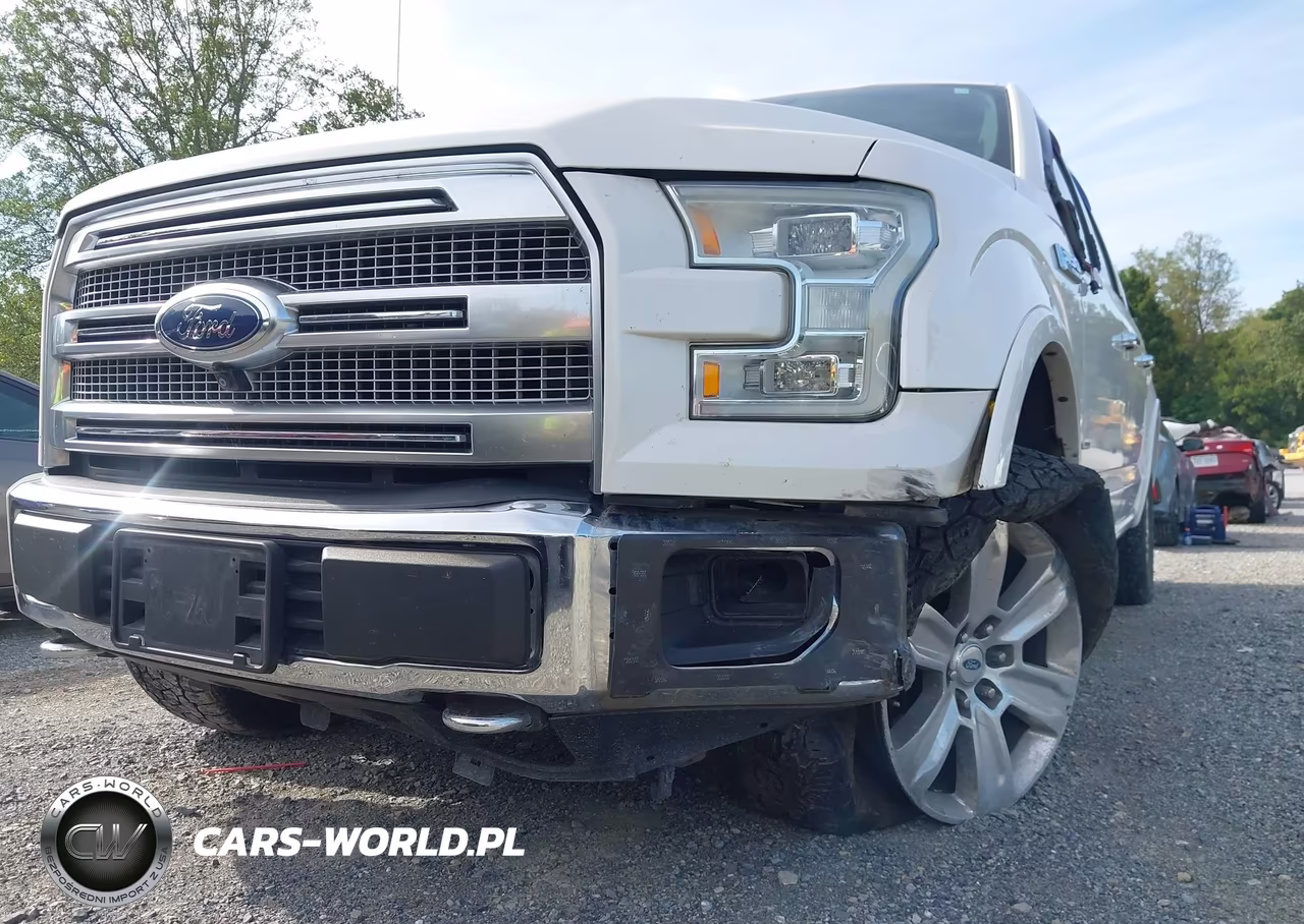 2015 Ford F-150 Platinum VIN:1FTEW1EG0FFB87410 - 18