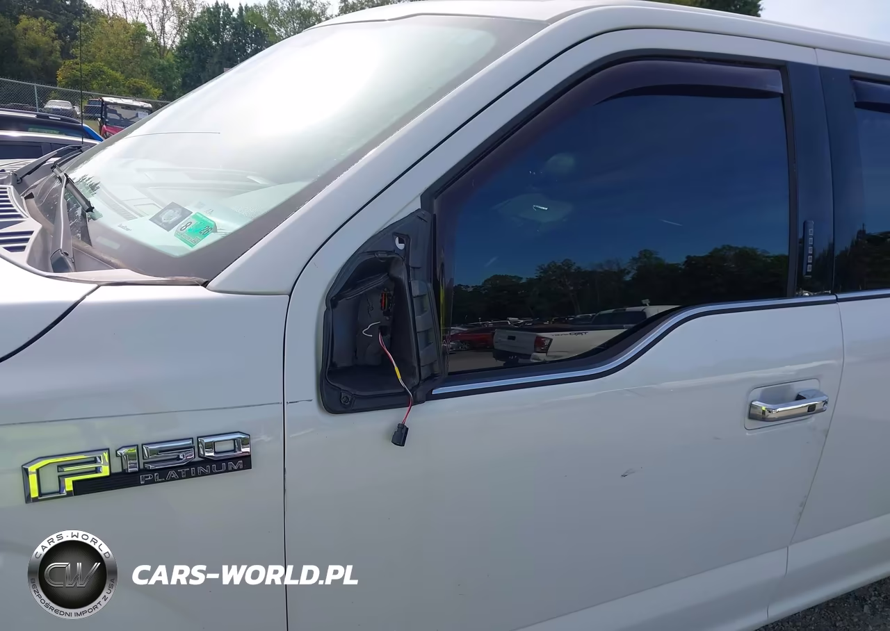 2015 Ford F-150 Platinum VIN:1FTEW1EG0FFB87410 - 19