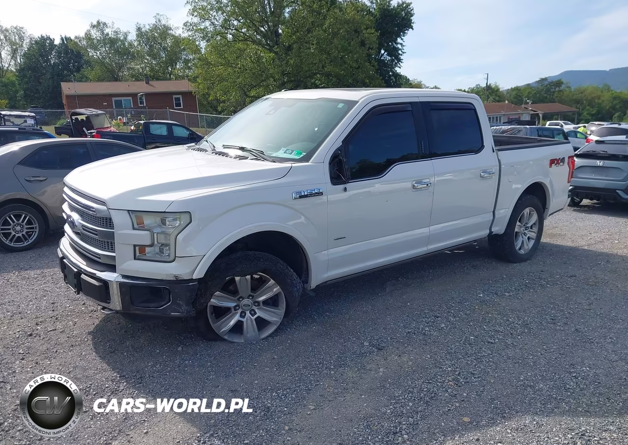 2015 Ford F-150 Platinum VIN:1FTEW1EG0FFB87410 - 2