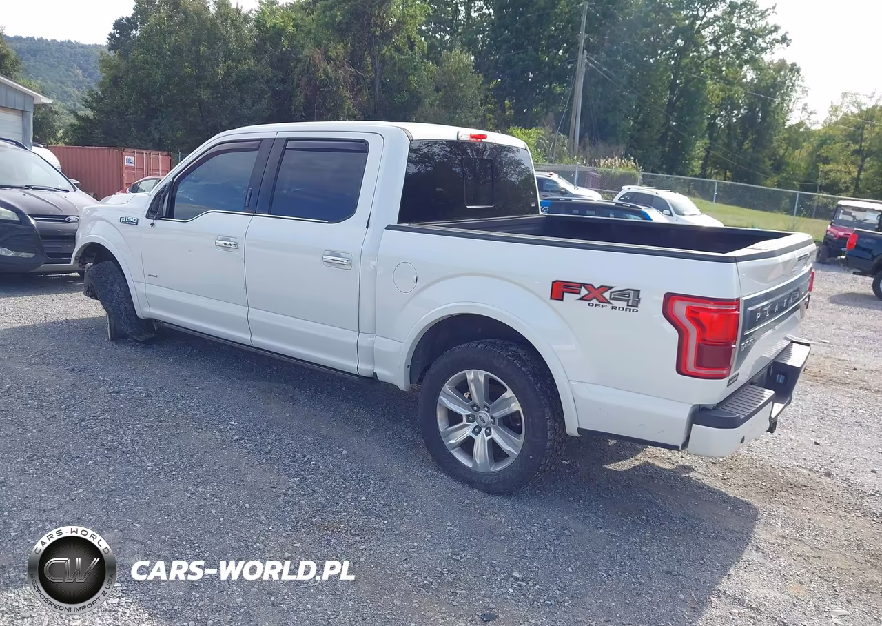 2015 Ford F-150 Platinum VIN:1FTEW1EG0FFB87410 - 3