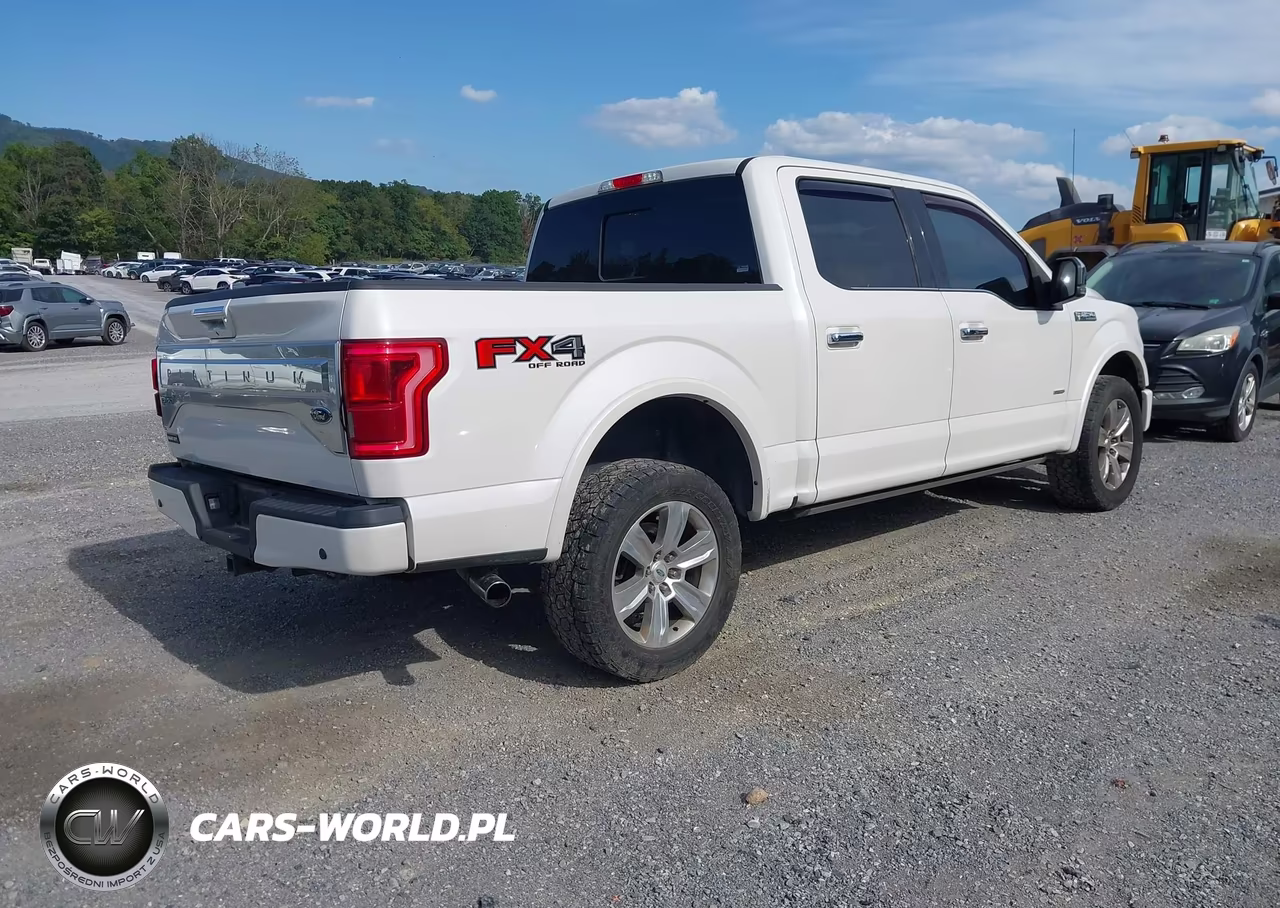 2015 Ford F-150 Platinum VIN:1FTEW1EG0FFB87410 - 4