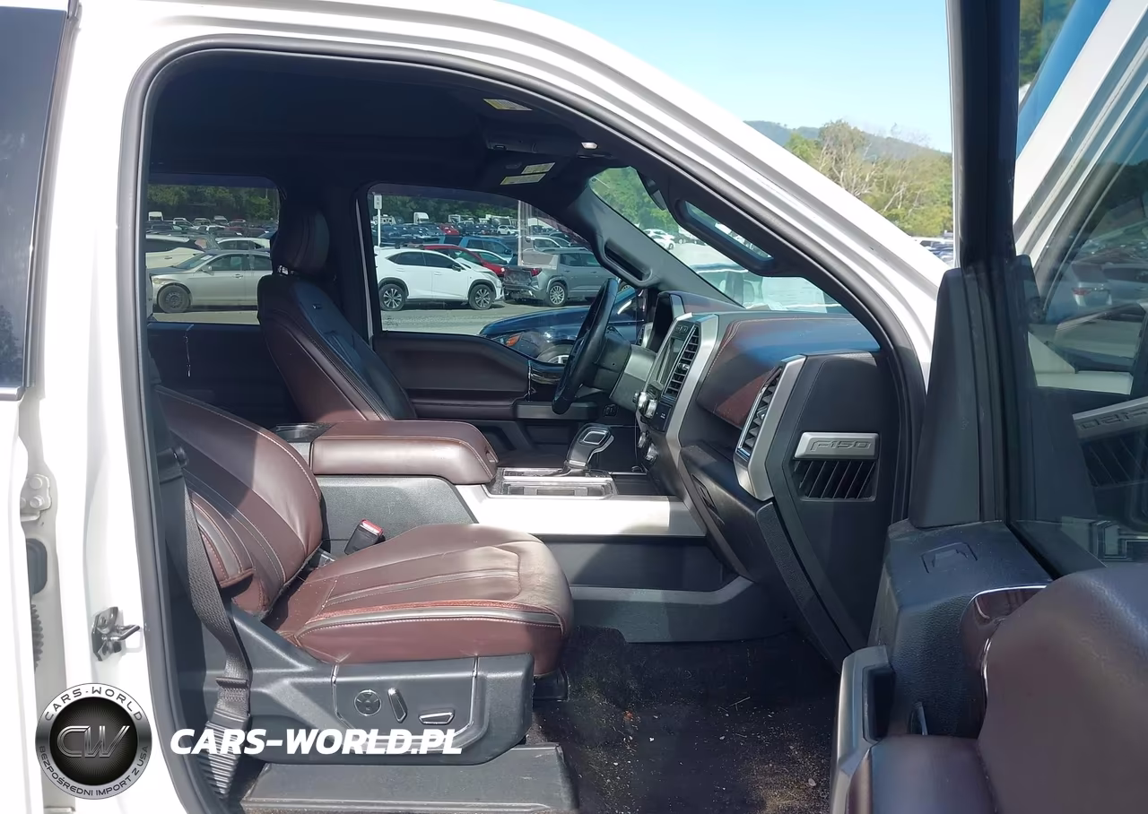 2015 Ford F-150 Platinum VIN:1FTEW1EG0FFB87410 - 5