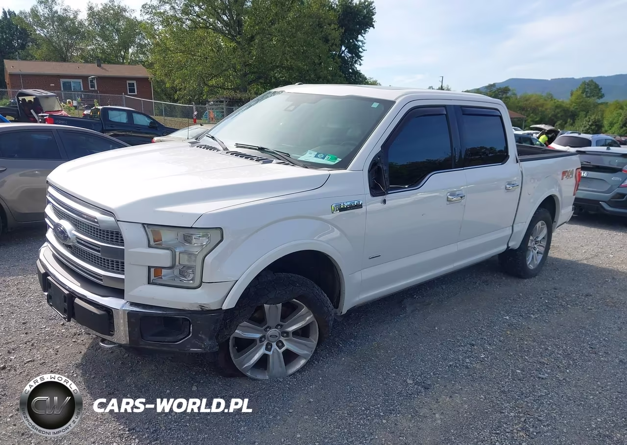 2015 Ford F-150 Platinum VIN:1FTEW1EG0FFB87410 - 6