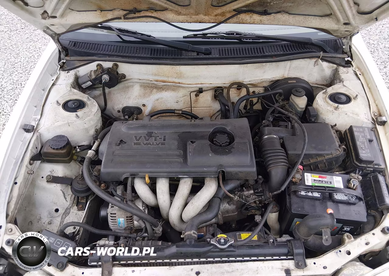 2000 Toyota Corolla Ve VIN:1NXBR12E5YZ403808 - 10