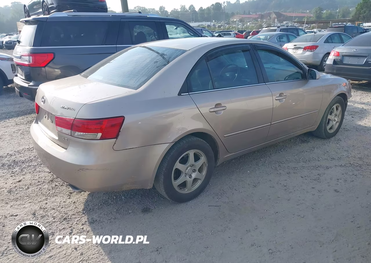 2006 Hyundai Sonata Gls V6-Lx V6 VIN:5NPEU46F06H049126 - 4