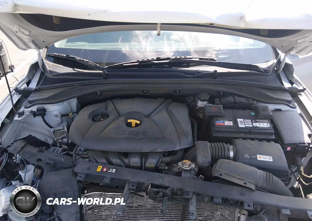 2019 Hyundai Elantra Gt VIN:KMHH35LE9KU091789 - 10