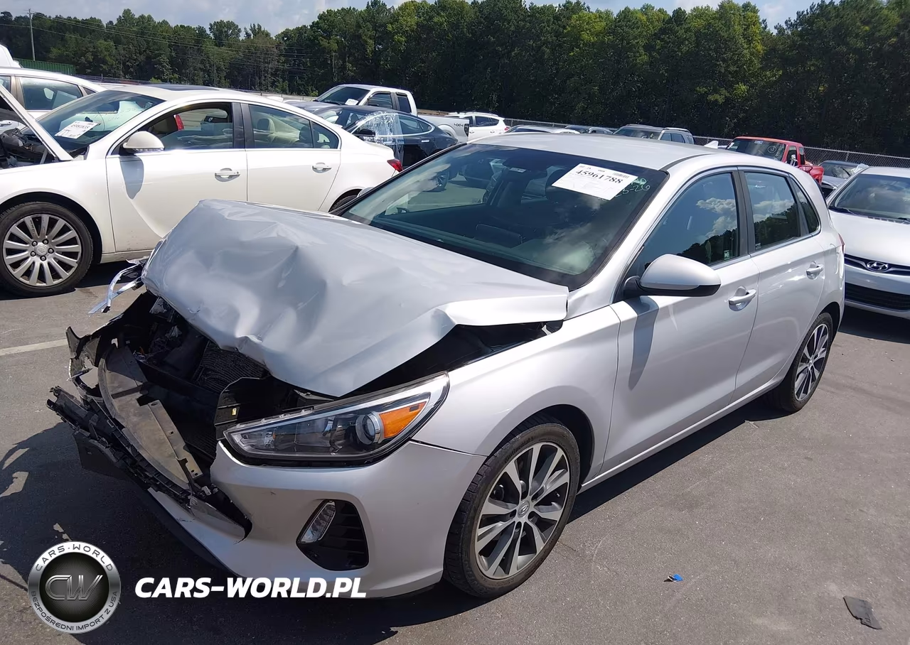 2019 Hyundai Elantra Gt VIN:KMHH35LE9KU091789 - 2