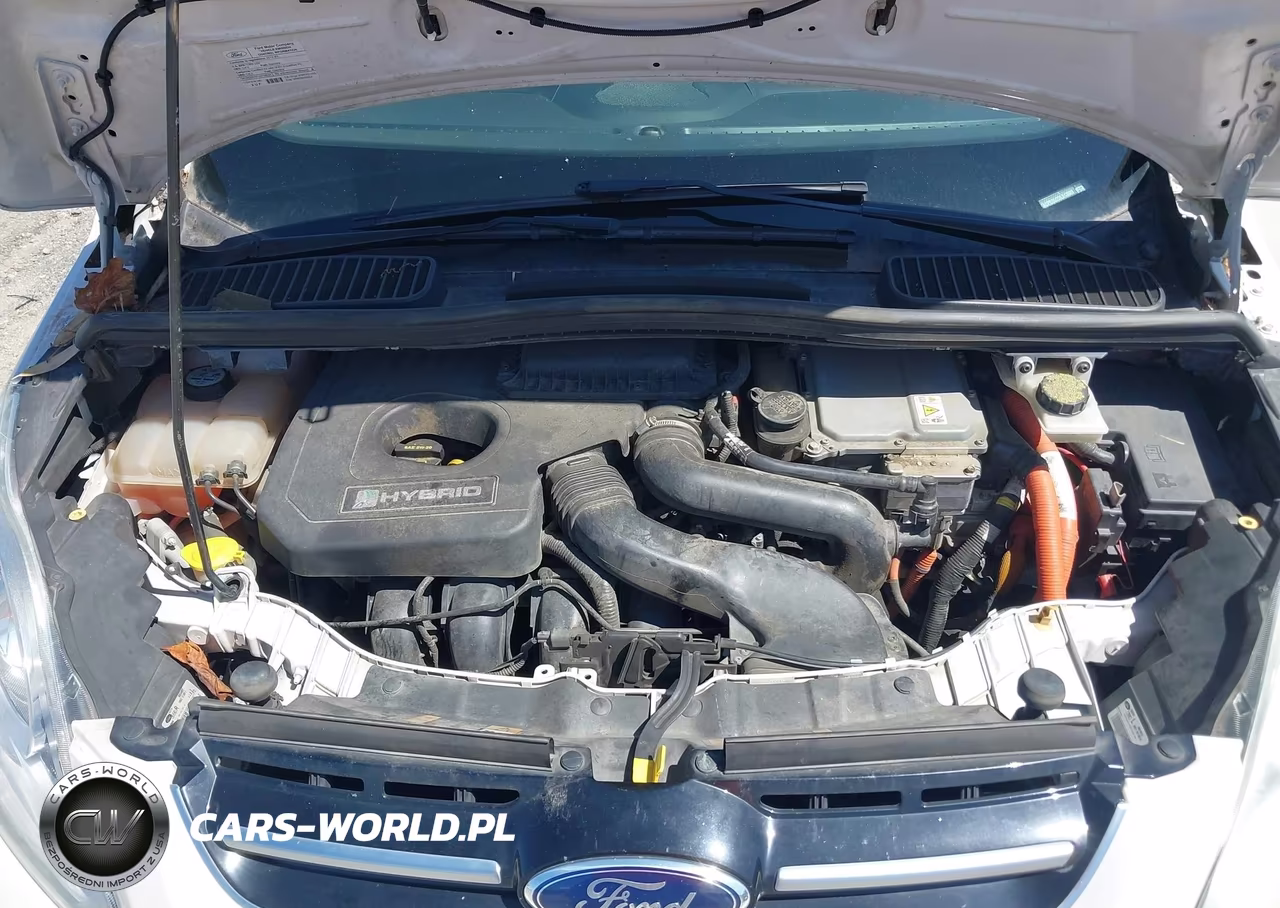 2013 Ford C-Max Hybrid Sel VIN:1FADP5BU2DL513089 - 10