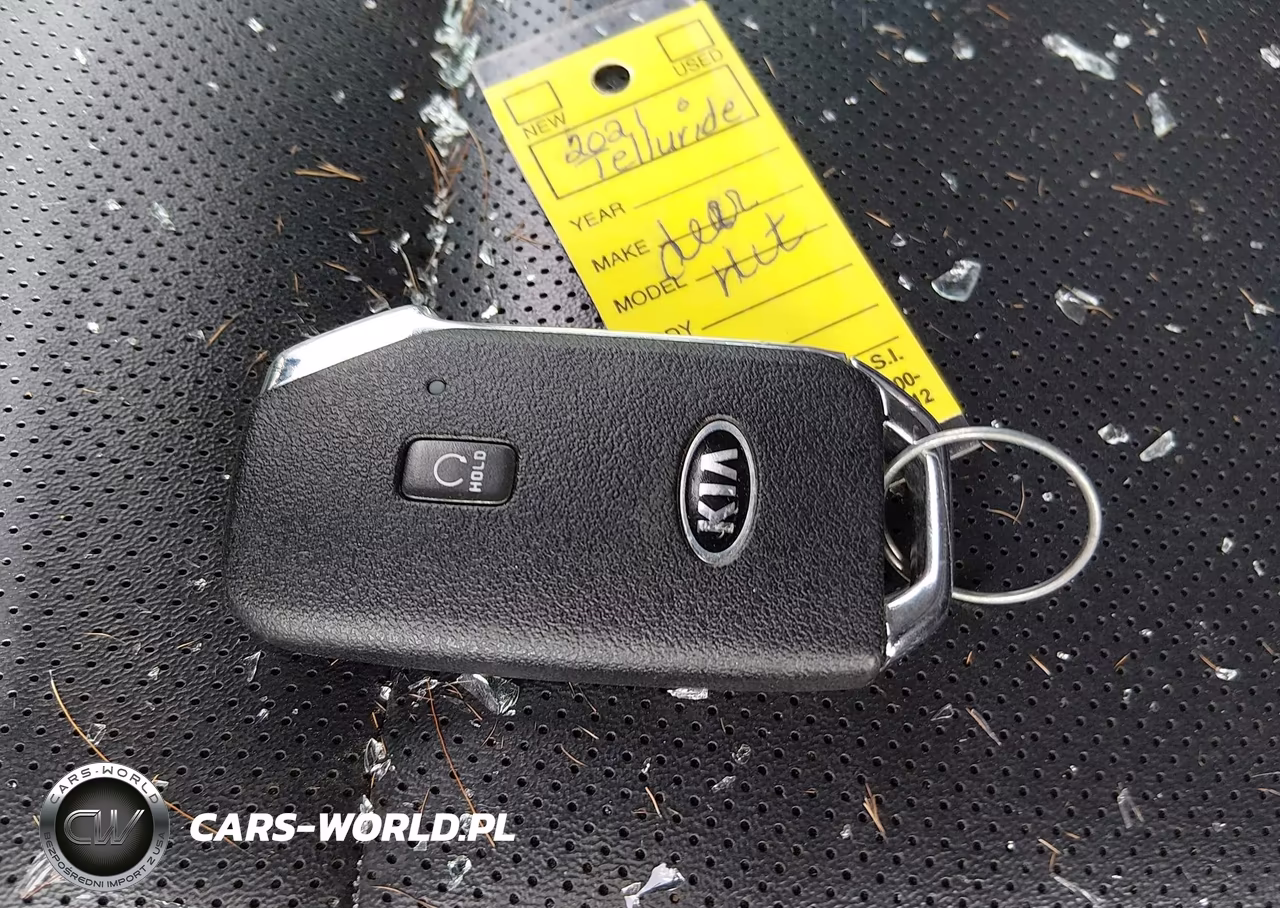 2021 Kia Telluride S VIN:5XYP6DHC9MG124044 - 11