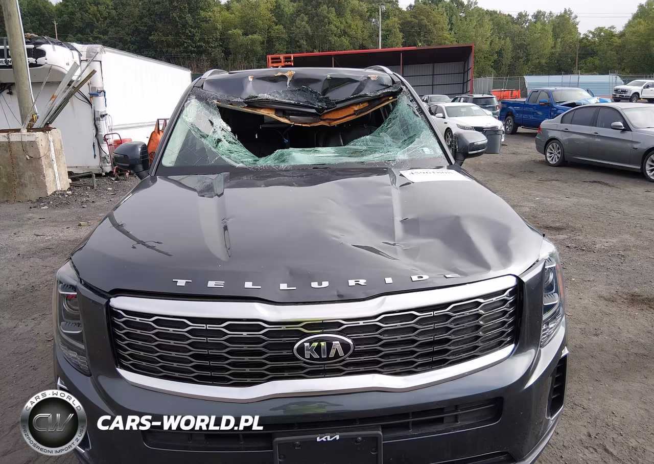 2021 Kia Telluride S VIN:5XYP6DHC9MG124044 - 12