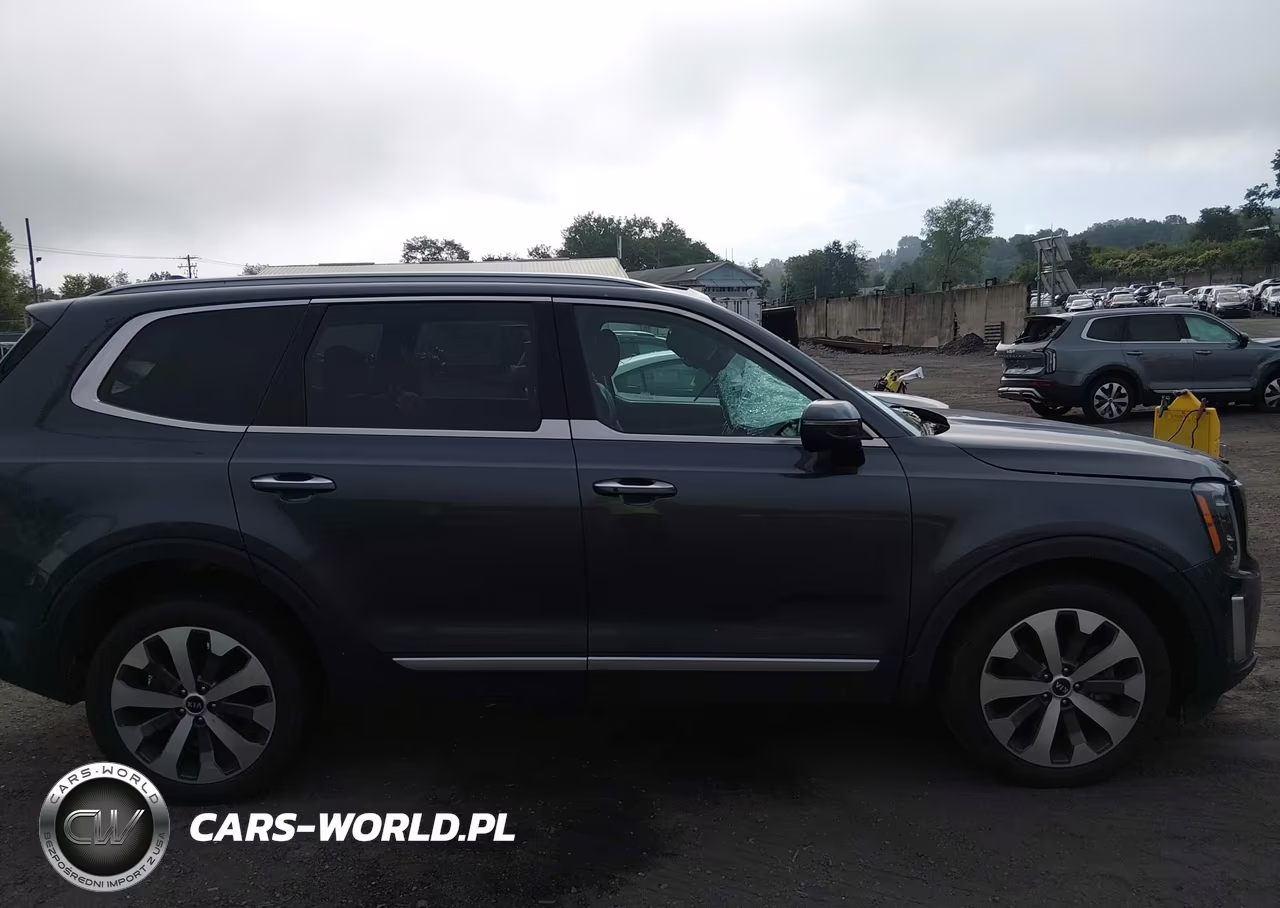 2021 Kia Telluride S VIN:5XYP6DHC9MG124044 - 13