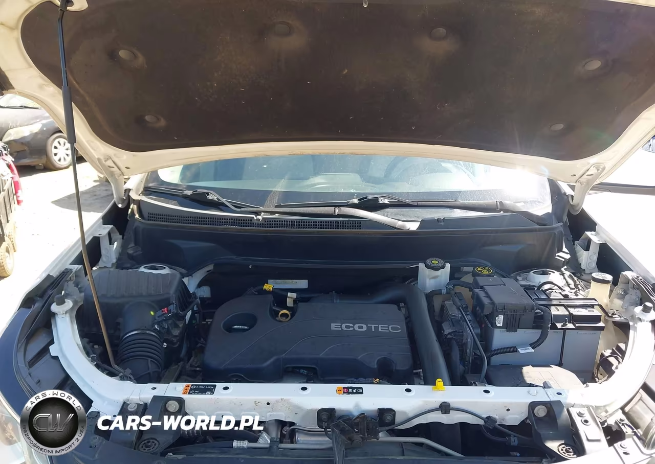 2019 Chevrolet Equinox Lt VIN:2GNAXJEV5K6245128 - 10