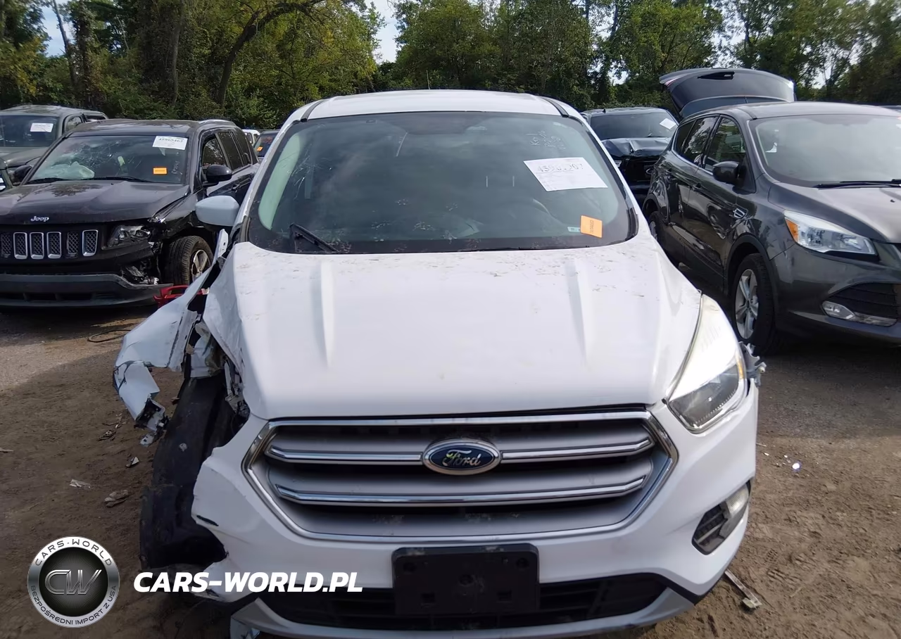 2017 Ford Escape Se VIN:1FMCU0GD2HUE89737 - 12
