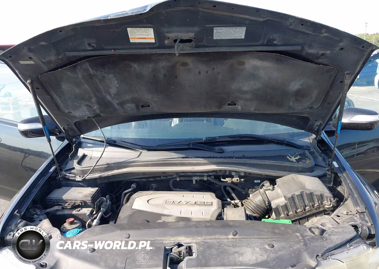 2009 Acura Mdx VIN:2HNYD28229H533432 - 10