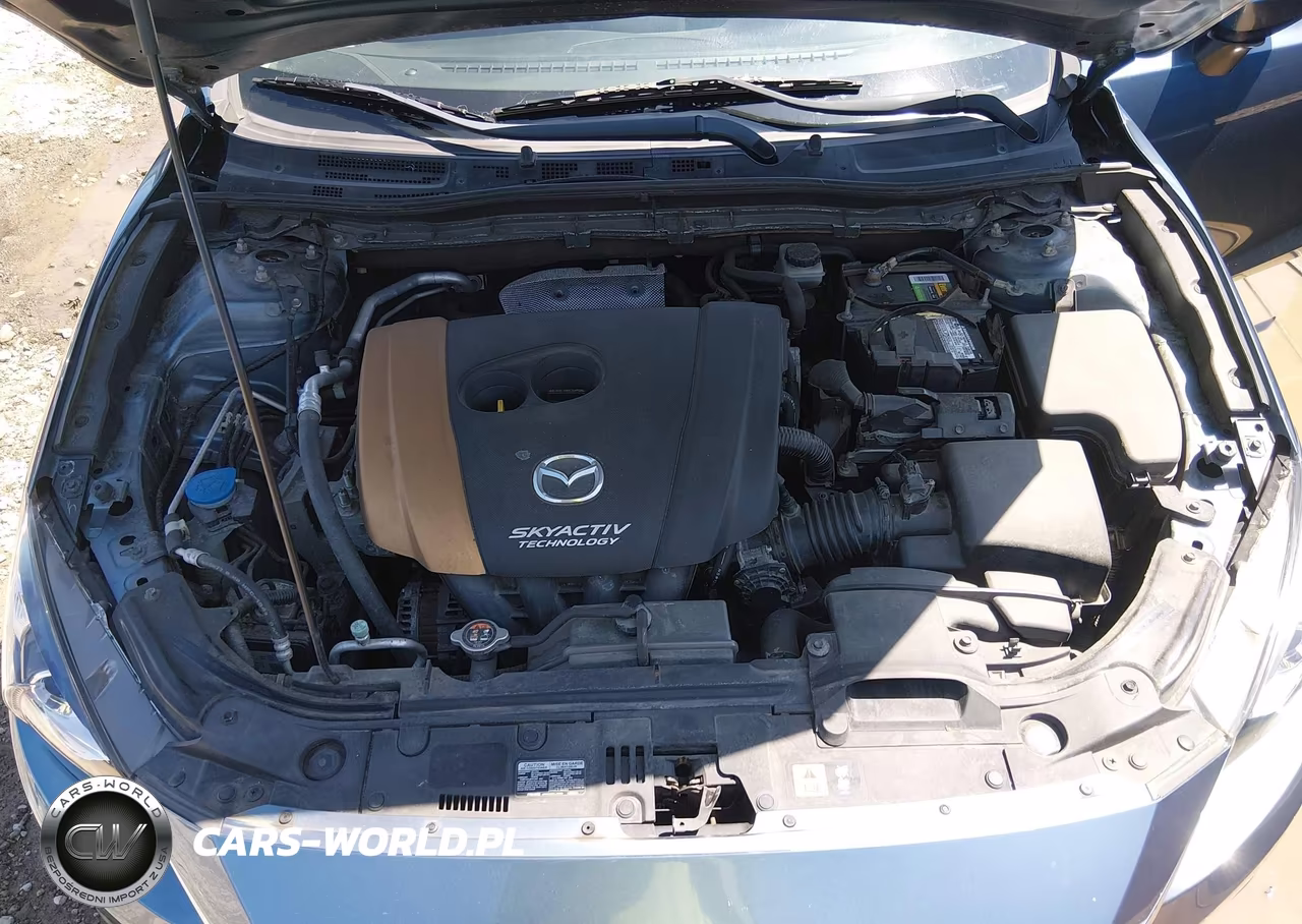 2014 Mazda Mazda3 I Sport VIN:JM1BM1U76E1176899 - 10