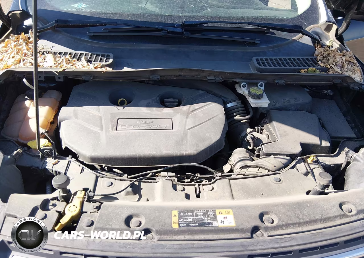 2016 Ford Escape Se VIN:1FMCU9G97GUC43006 - 10