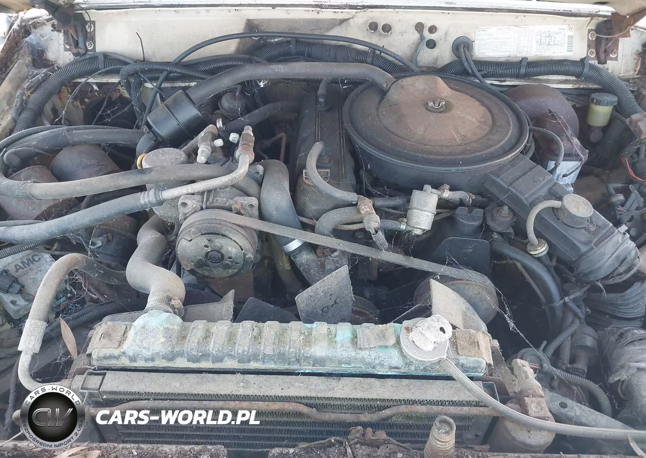 1985 Jeep Cherokee VIN:1JCUX7816FT009519 - 10