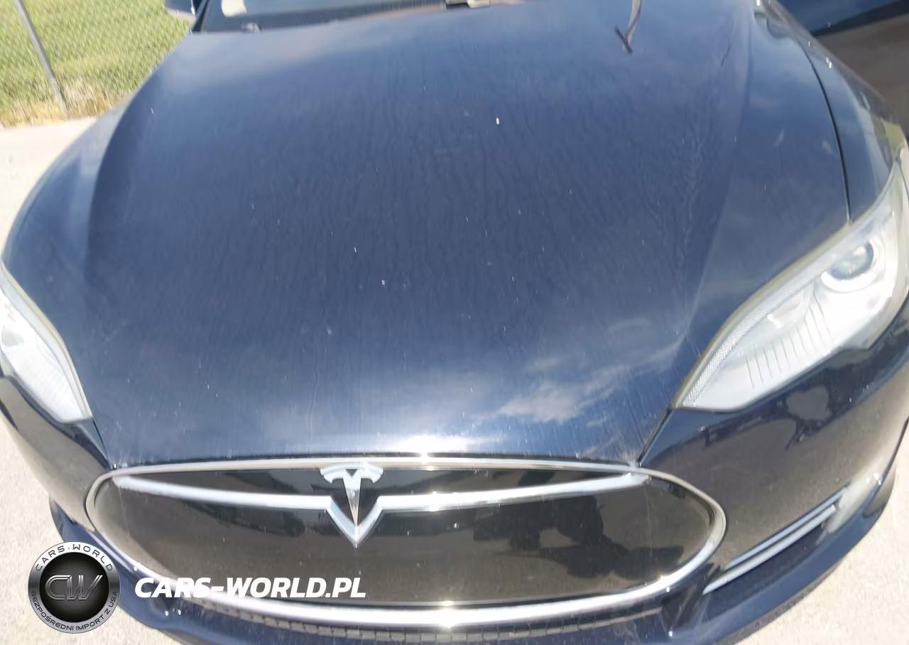 2013 Tesla Model S Performance VIN:5YJSA1DP7DFP06943 - 10