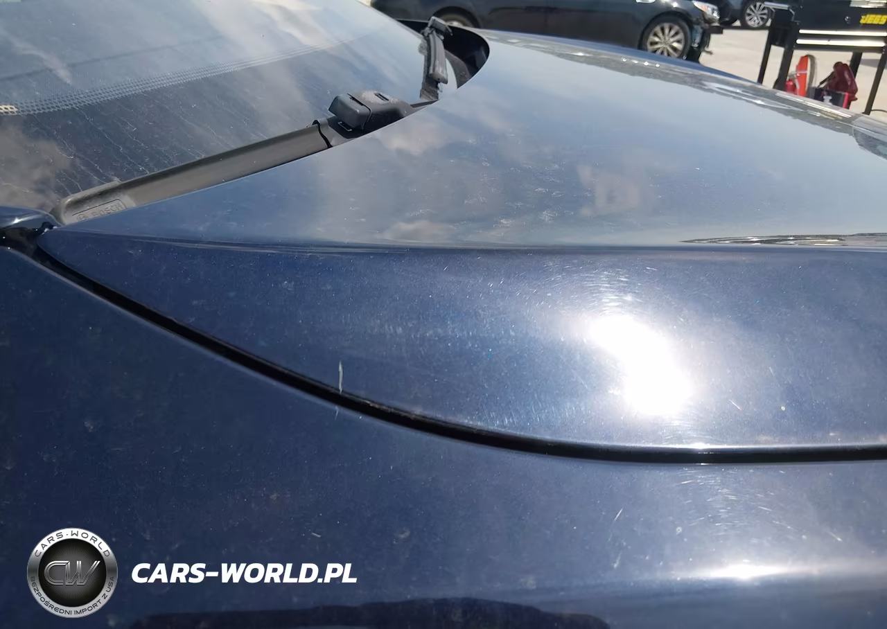2013 Tesla Model S Performance VIN:5YJSA1DP7DFP06943 - 6