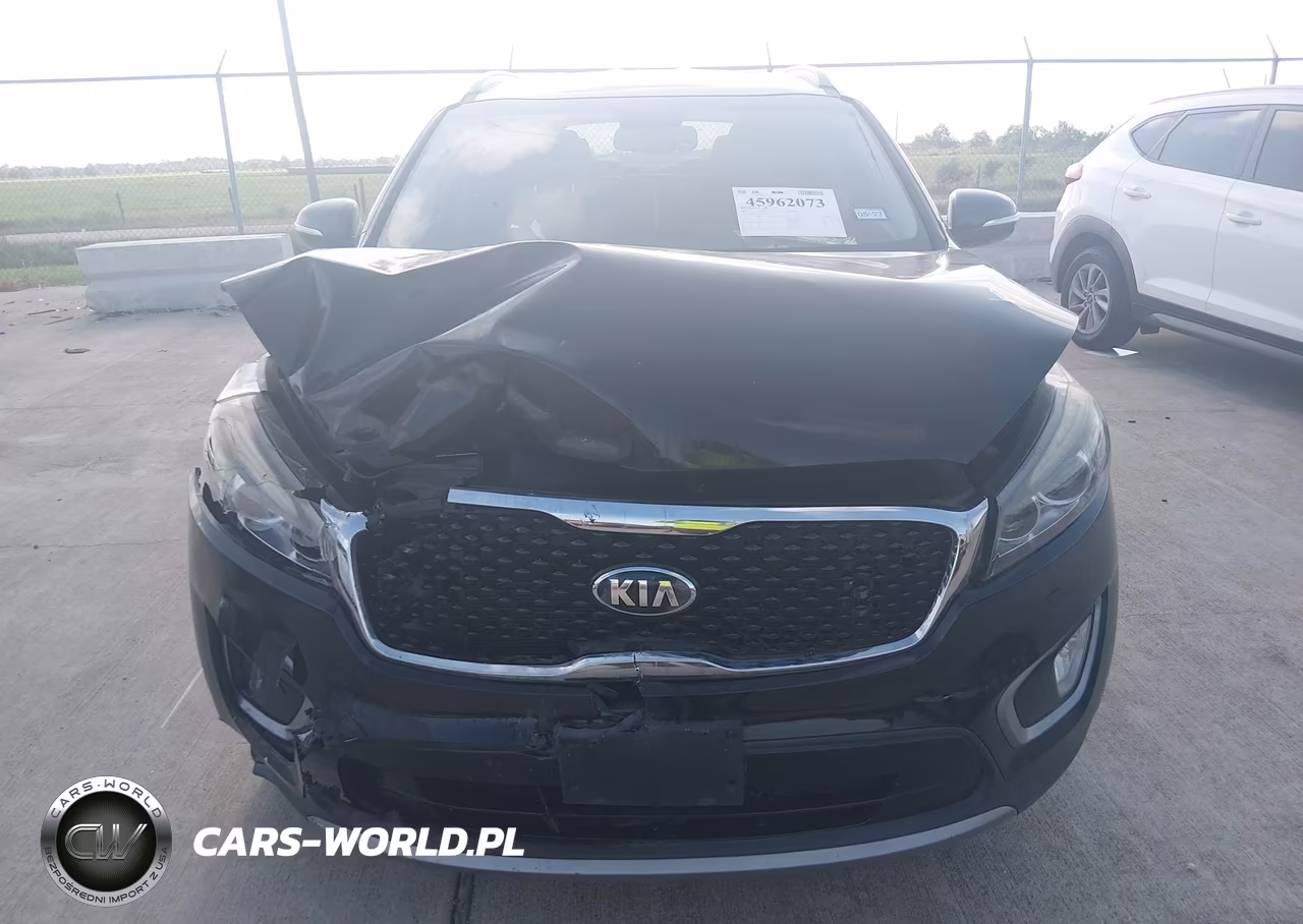 2017 Kia Sorento 3.3L Ex VIN:5XYPH4A53HG203463 - 12