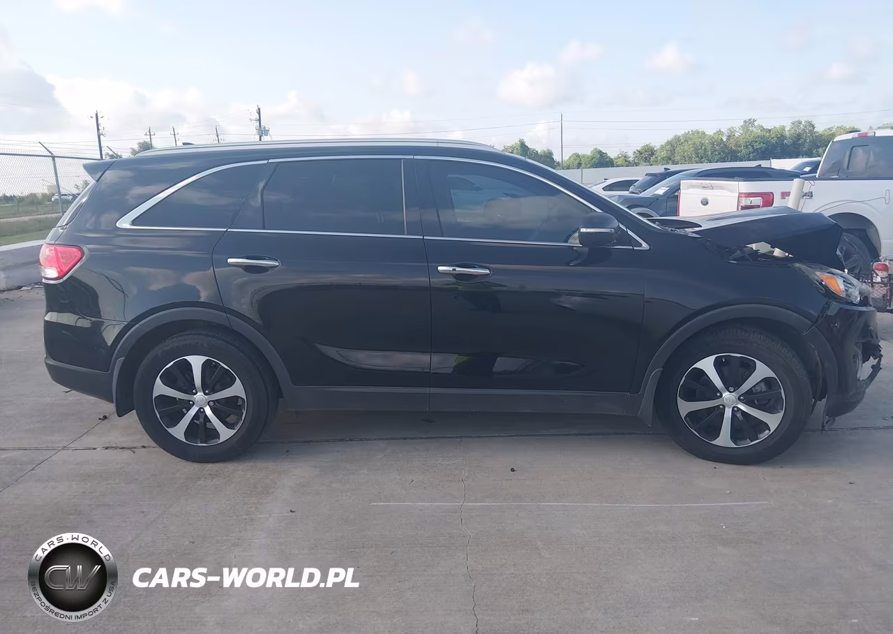 2017 Kia Sorento 3.3L Ex VIN:5XYPH4A53HG203463 - 13