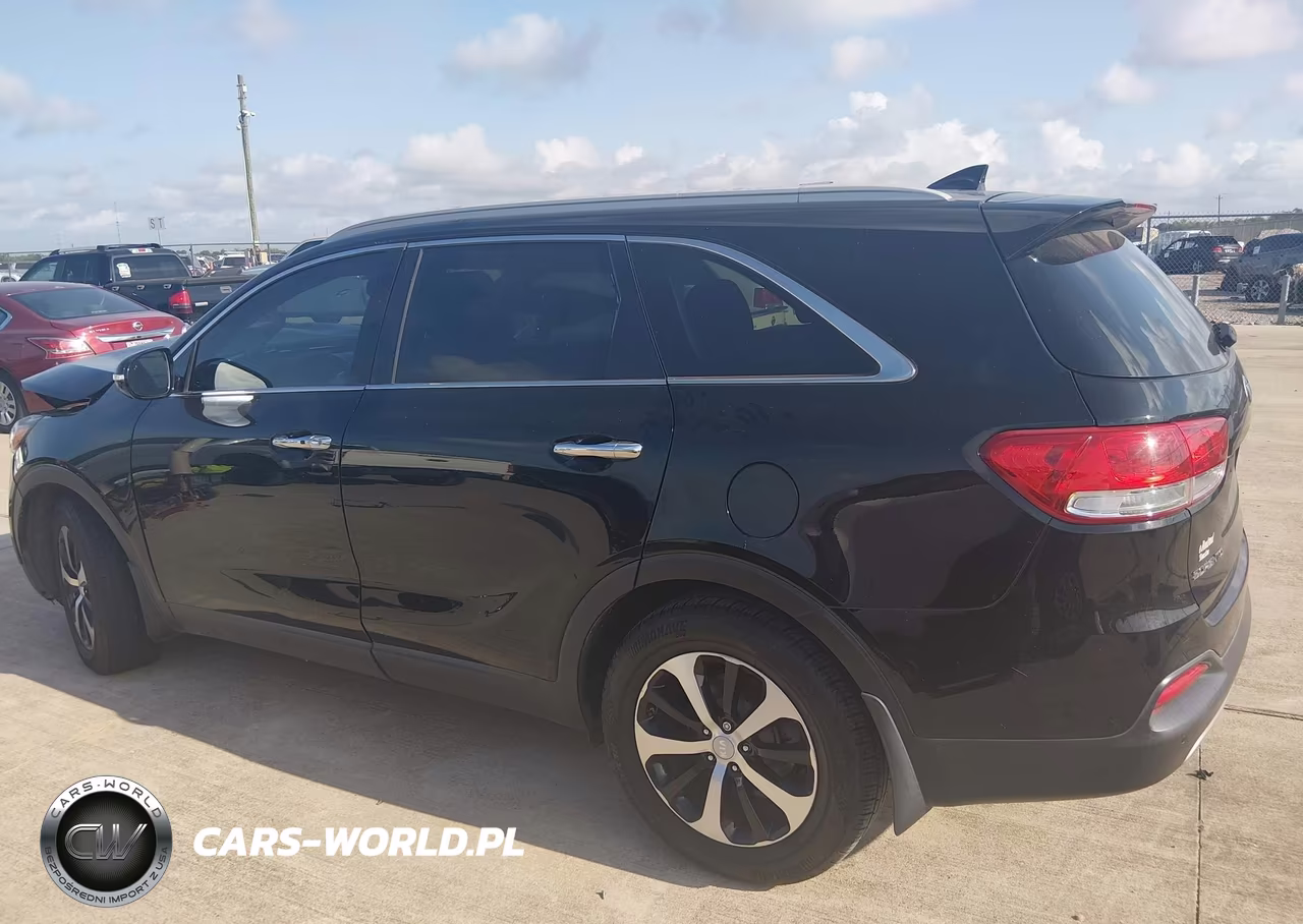 2017 Kia Sorento 3.3L Ex VIN:5XYPH4A53HG203463 - 14