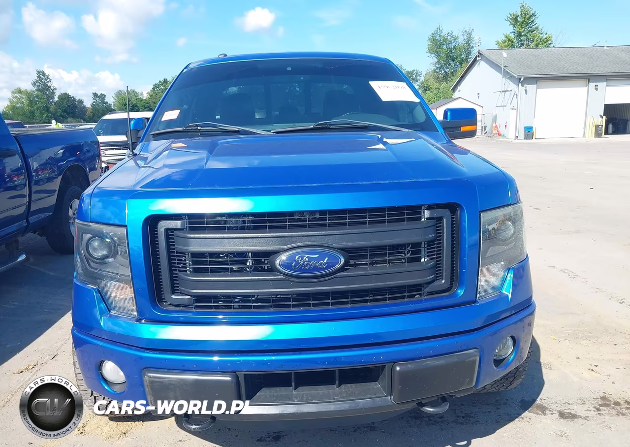 2014 Ford F-150 Fx4 VIN:1FTFX1ET5EFA75974 - 12