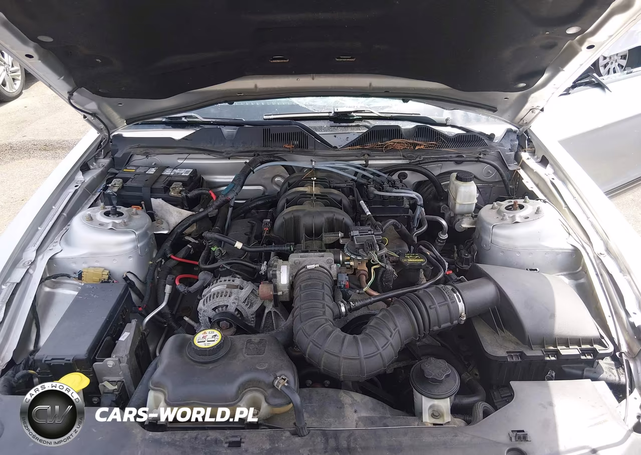2010 Ford Mustang V6-V6 Premium VIN:1ZVBP8EN6A5108745 - 10