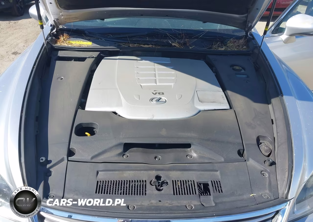 2014 Lexus Ls 460 VIN:JTHBL5EF7E5131073 - 10