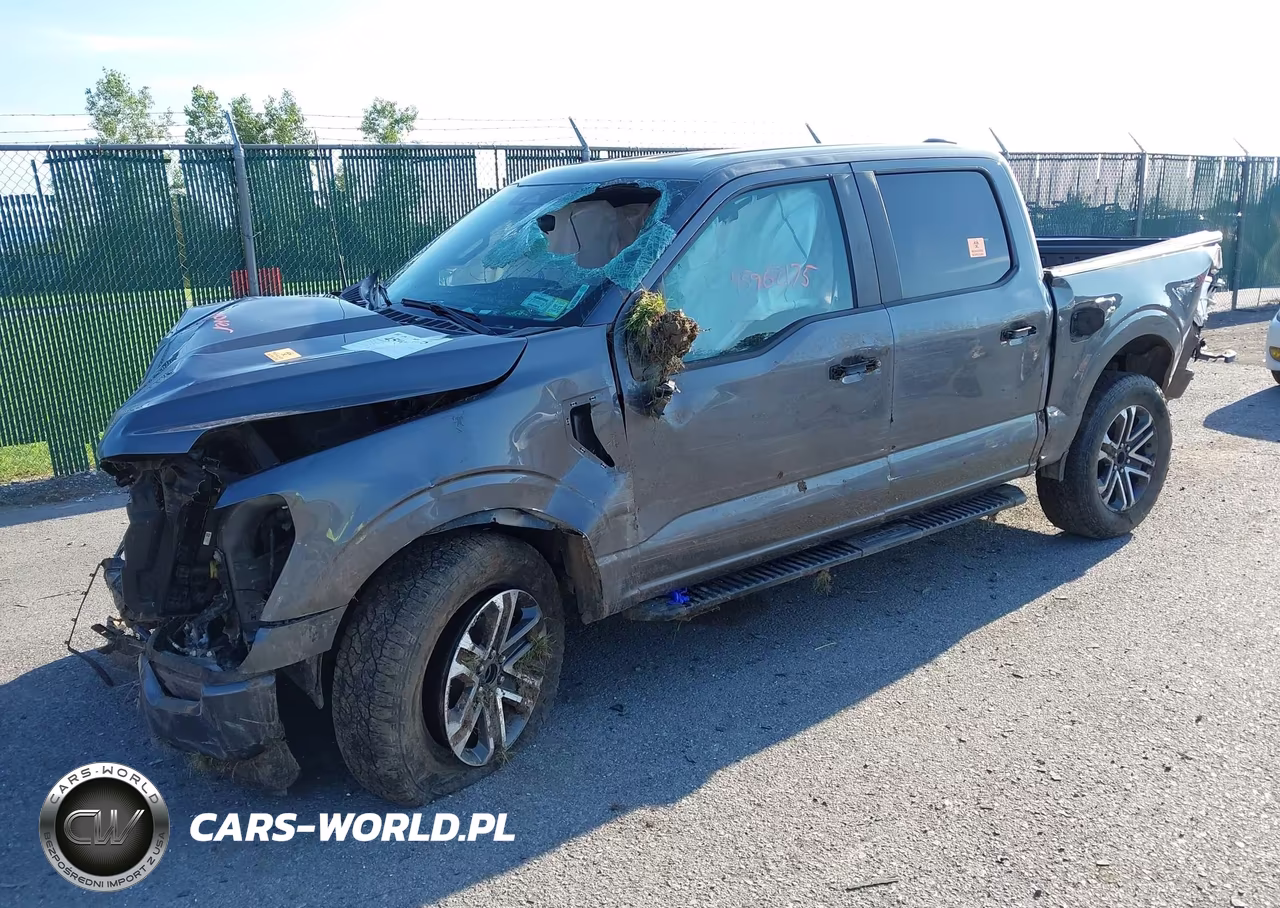 2023 Ford F-150 Xl VIN:1FTEW1EP6PFB08677 - 2