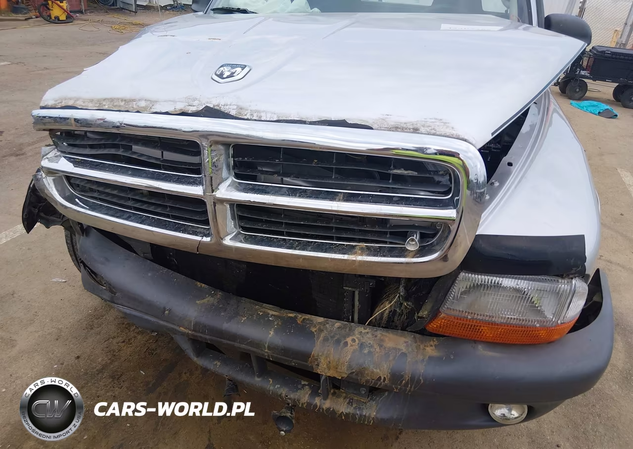 2004 Dodge Dakota VIN:1D7GL12K54S663316 - 18