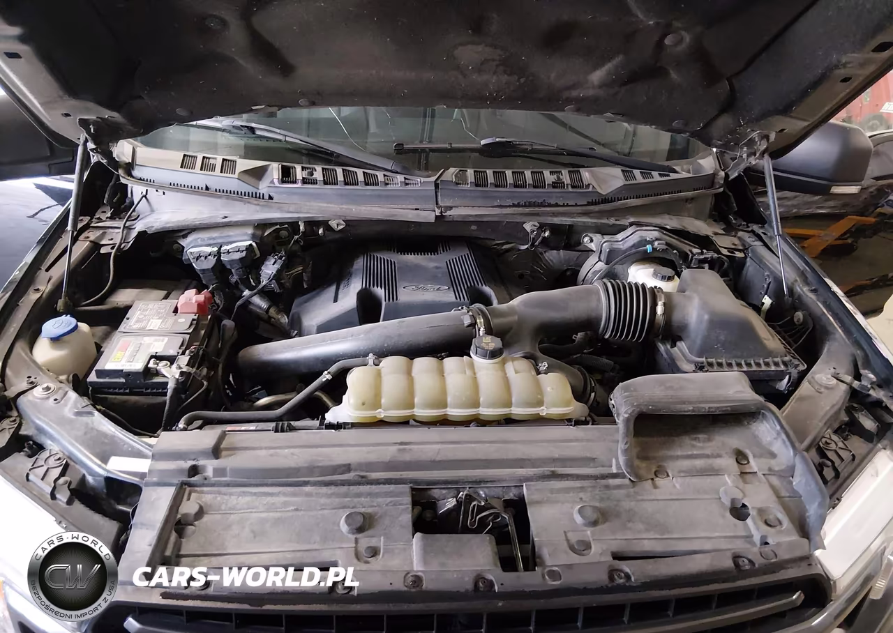 2019 Ford F-150 Xlt VIN:1FTFW1E4XKKD97699 - 10