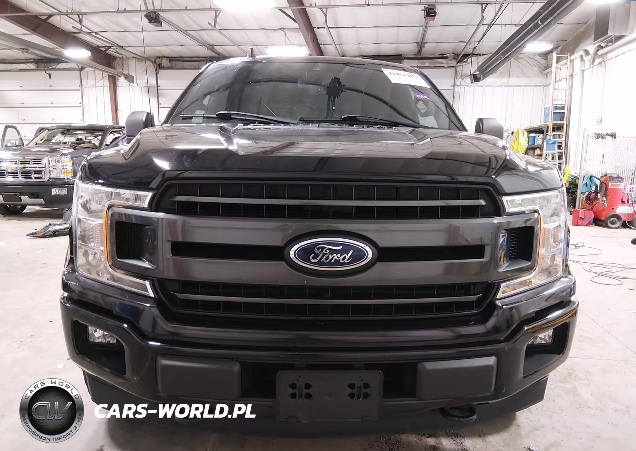 2019 Ford F-150 Xlt VIN:1FTFW1E4XKKD97699 - 12