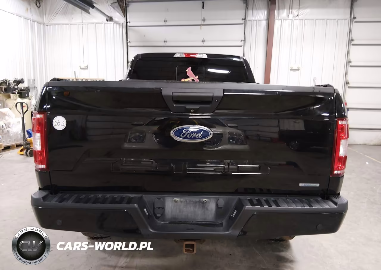 2019 Ford F-150 Xlt VIN:1FTFW1E4XKKD97699 - 16