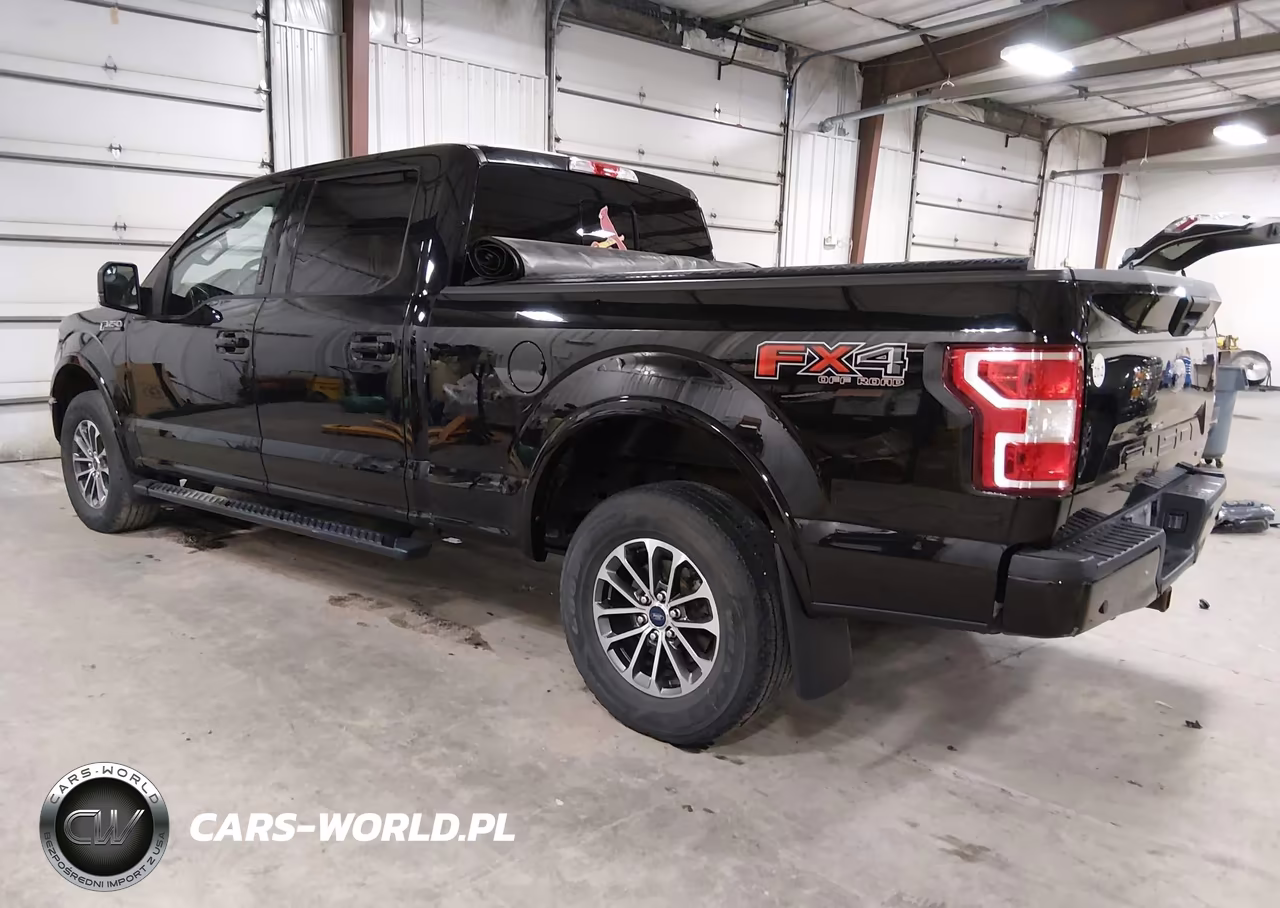2019 Ford F-150 Xlt VIN:1FTFW1E4XKKD97699 - 3