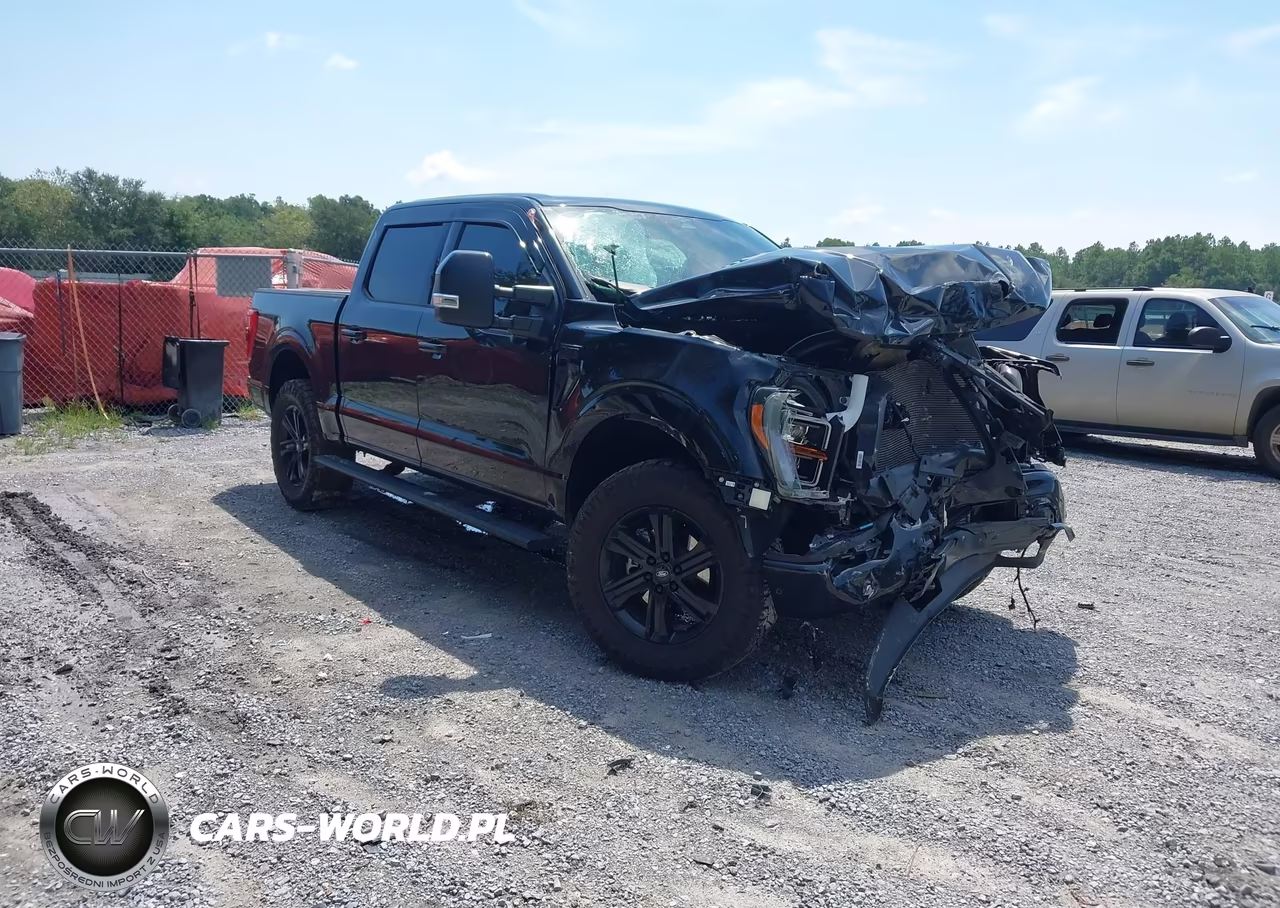 2023 Ford F-150 Platinum VIN:1FTFW1E84PFB56823 - 1
