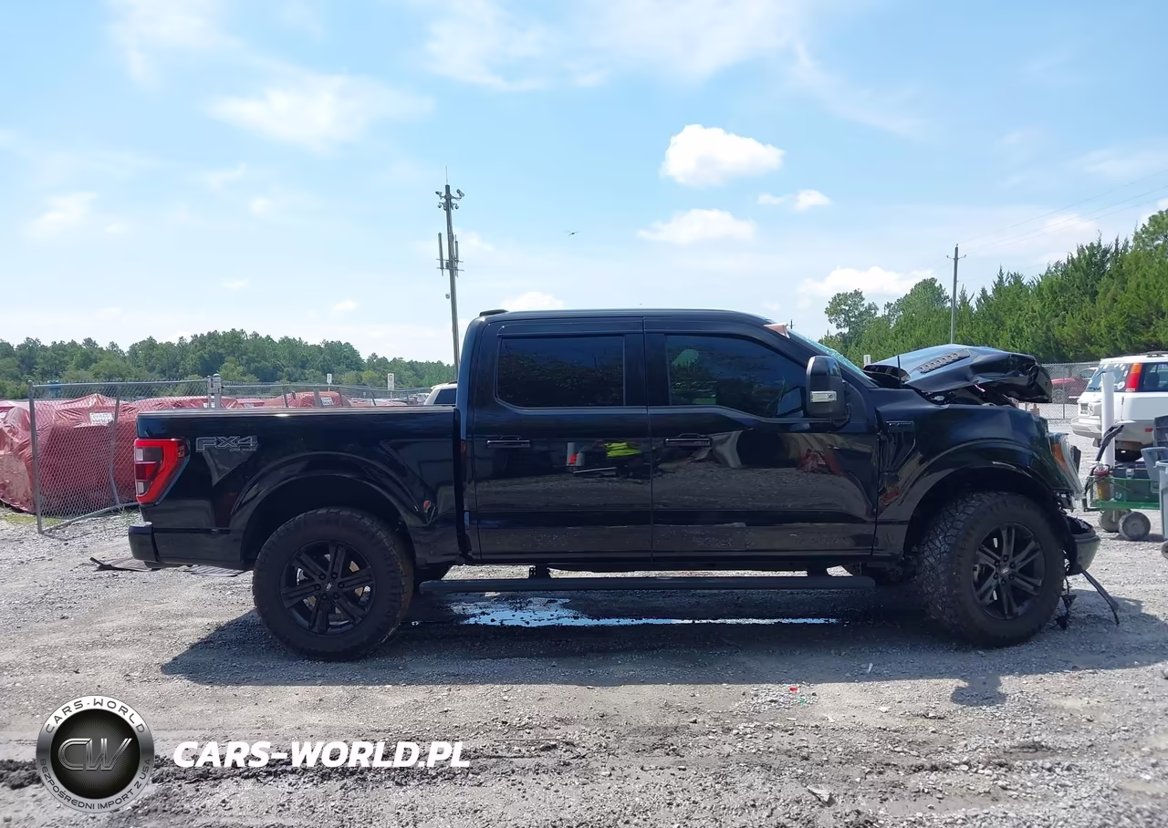 2023 Ford F-150 Platinum VIN:1FTFW1E84PFB56823 - 13