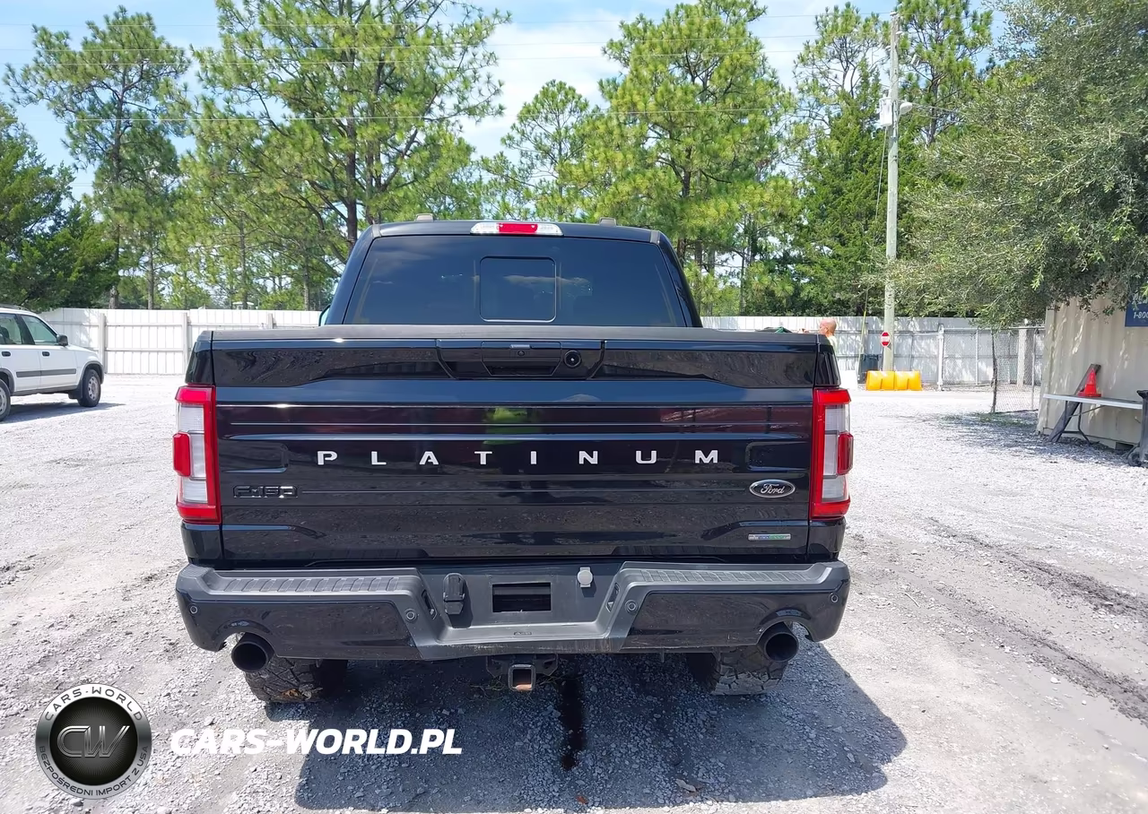 2023 Ford F-150 Platinum VIN:1FTFW1E84PFB56823 - 16