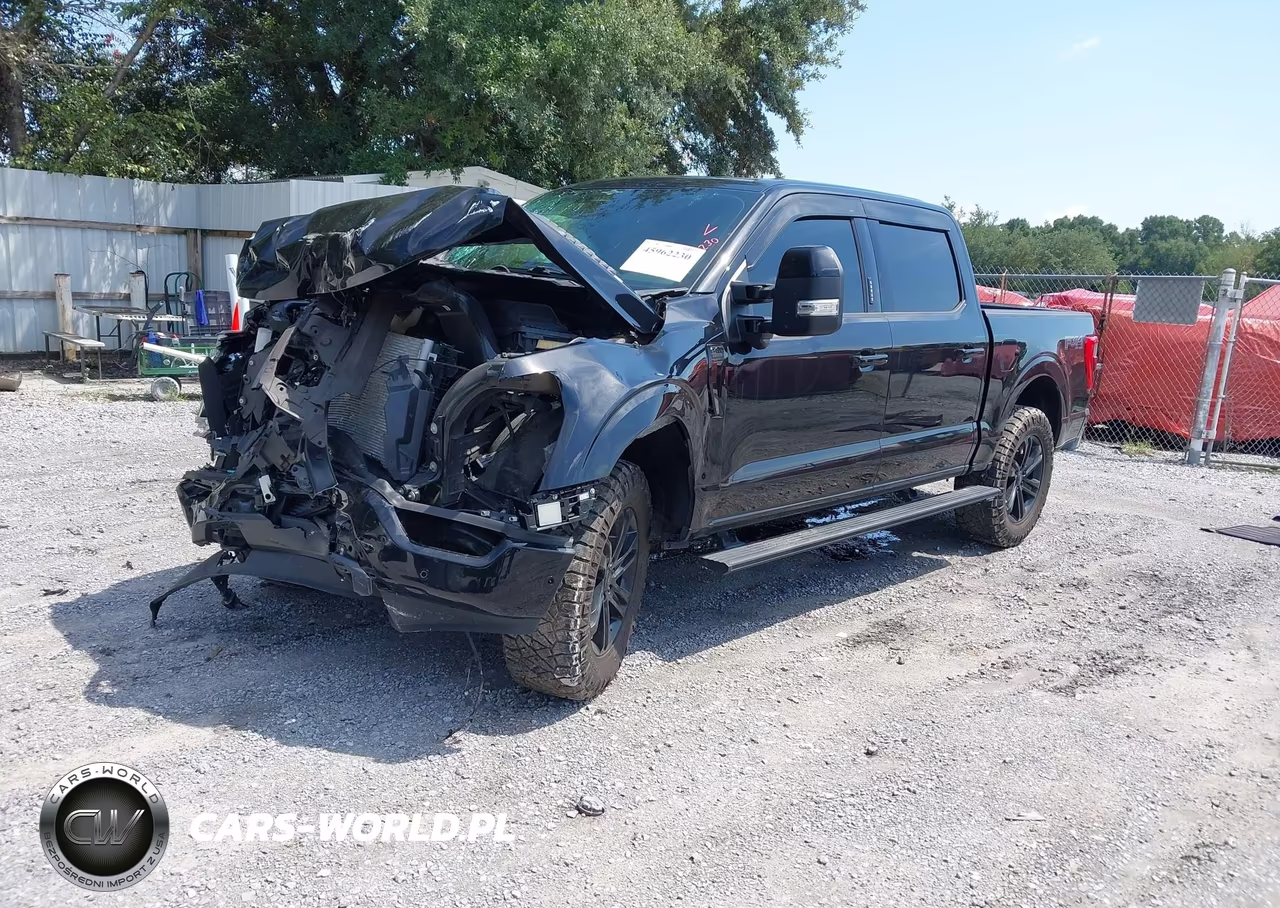 2023 Ford F-150 Platinum VIN:1FTFW1E84PFB56823 - 2