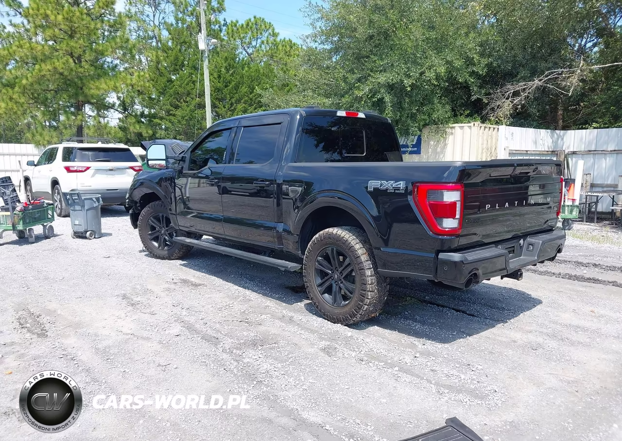 2023 Ford F-150 Platinum VIN:1FTFW1E84PFB56823 - 3