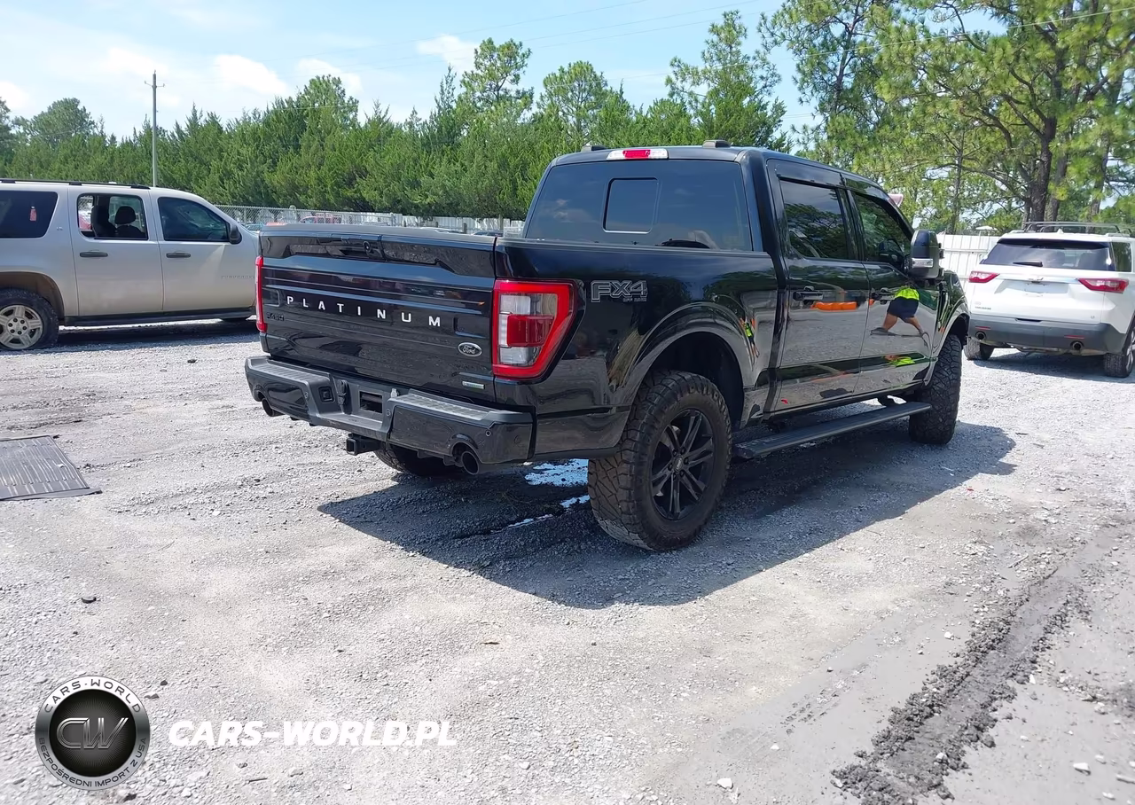 2023 Ford F-150 Platinum VIN:1FTFW1E84PFB56823 - 4
