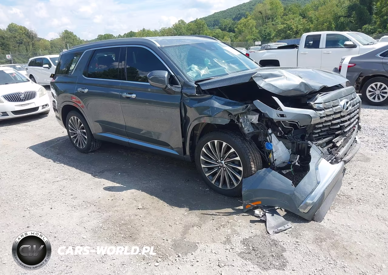 2025 Hyundai Palisade Calligraphy VIN:KM8R7DGE6SU807741 - 1