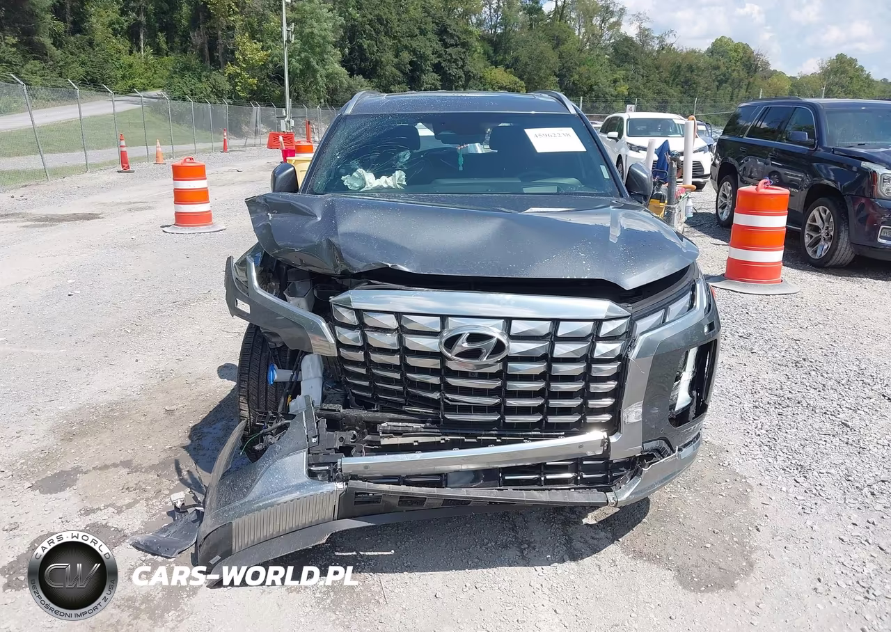 2025 Hyundai Palisade Calligraphy VIN:KM8R7DGE6SU807741 - 12