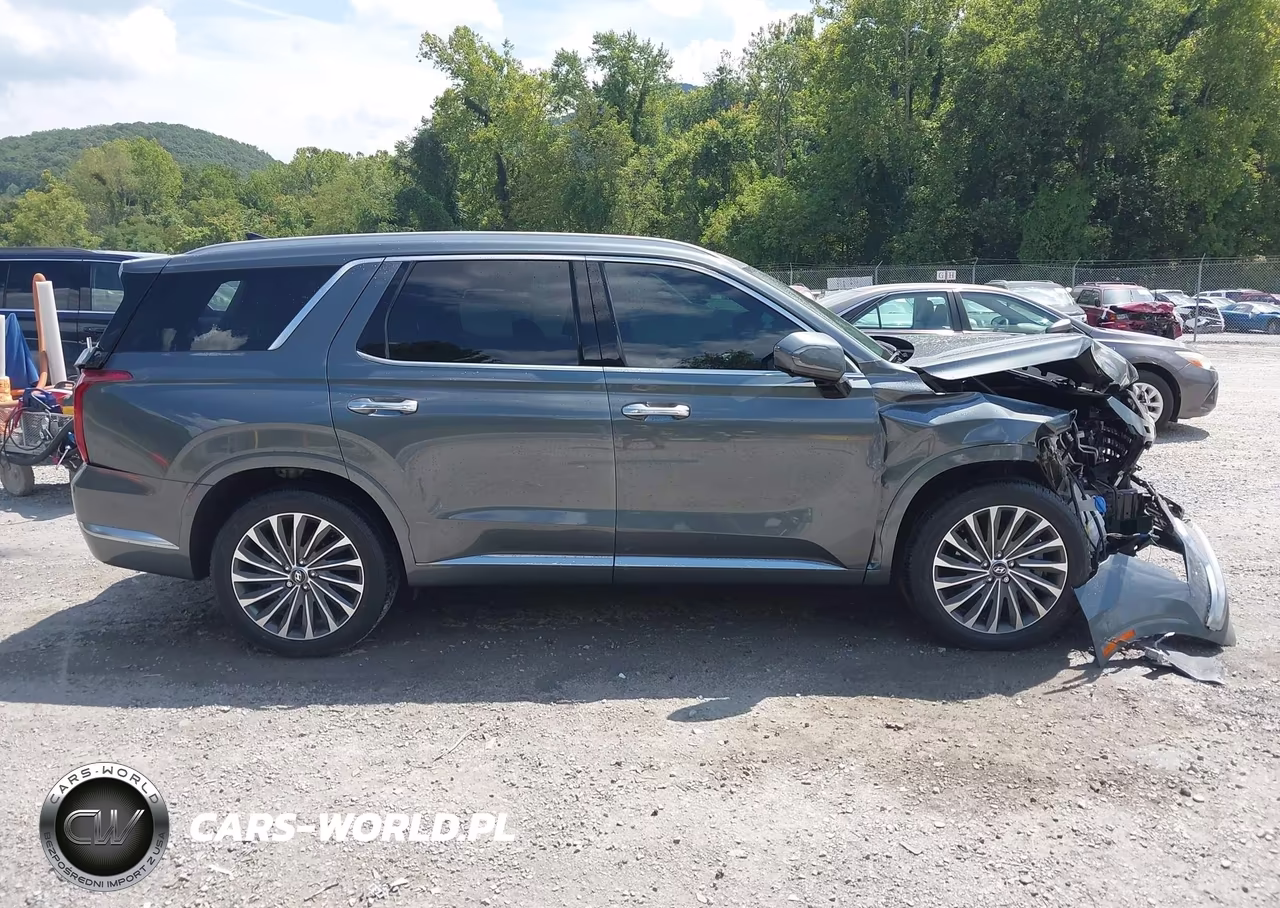 2025 Hyundai Palisade Calligraphy VIN:KM8R7DGE6SU807741 - 13
