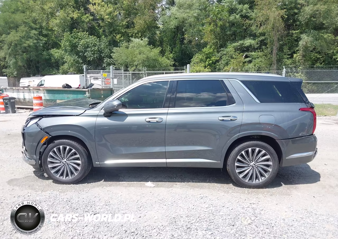2025 Hyundai Palisade Calligraphy VIN:KM8R7DGE6SU807741 - 14