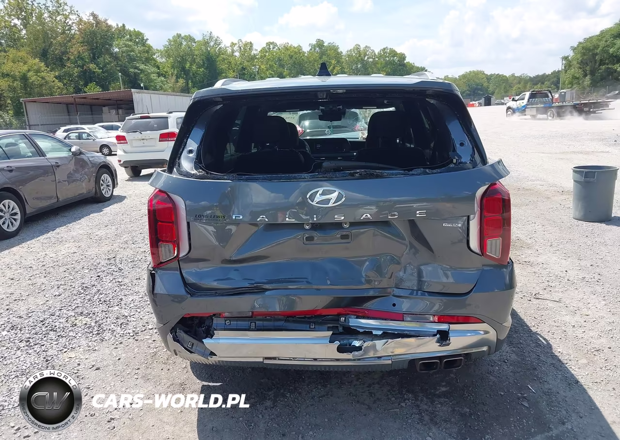 2025 Hyundai Palisade Calligraphy VIN:KM8R7DGE6SU807741 - 16