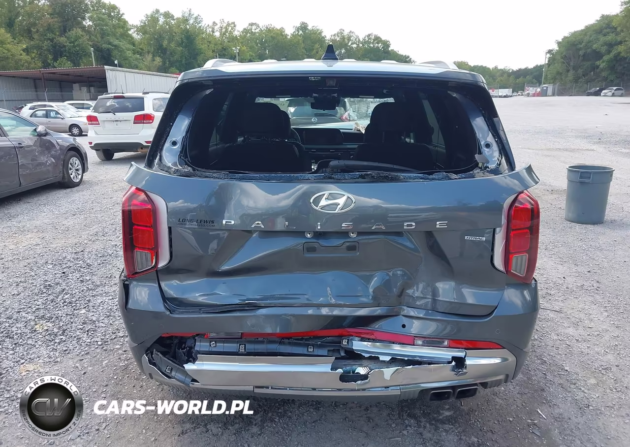 2025 Hyundai Palisade Calligraphy VIN:KM8R7DGE6SU807741 - 17