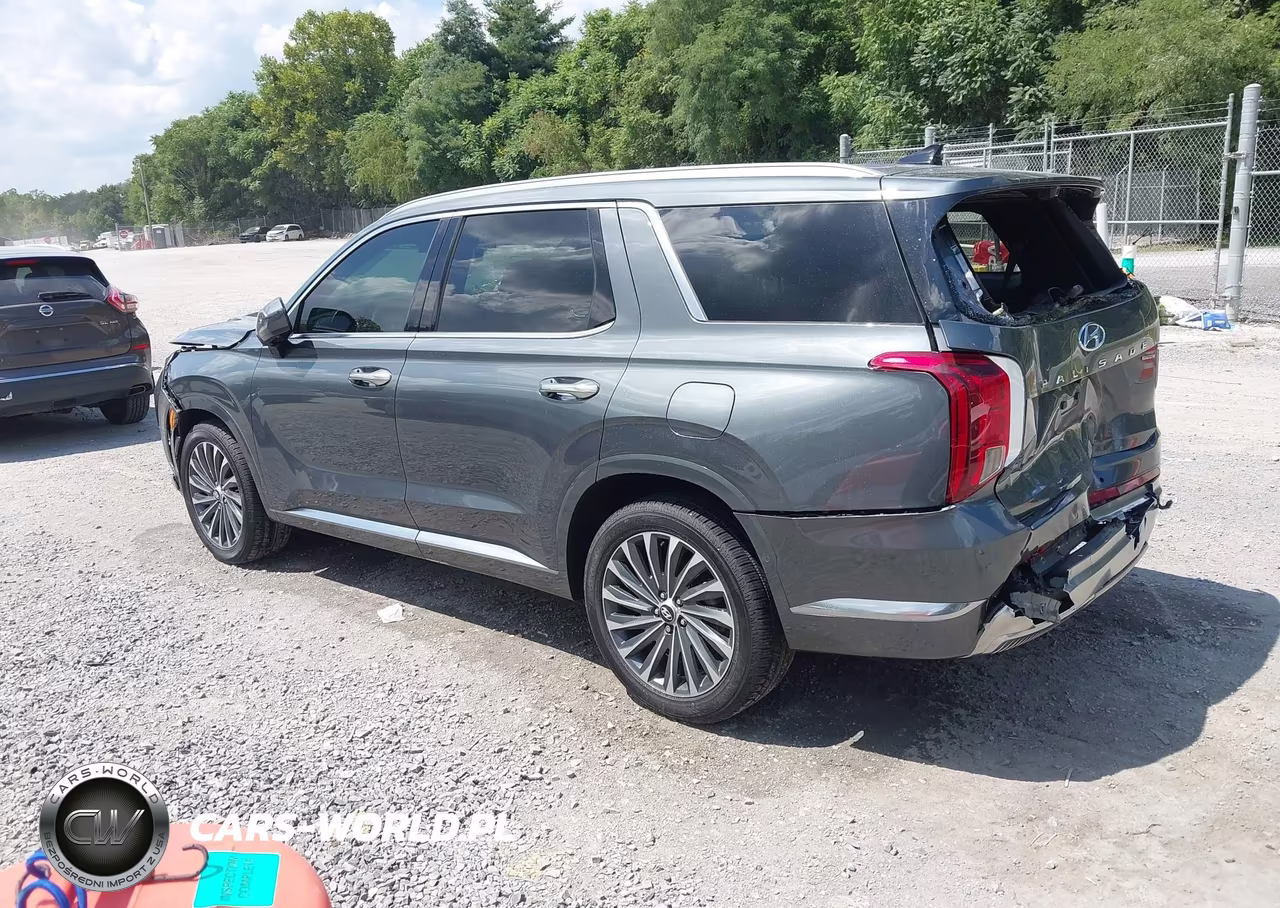 2025 Hyundai Palisade Calligraphy VIN:KM8R7DGE6SU807741 - 3