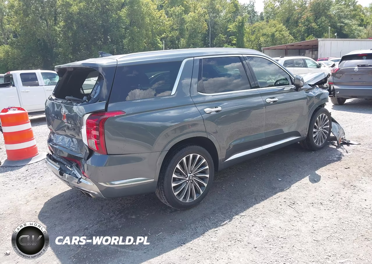 2025 Hyundai Palisade Calligraphy VIN:KM8R7DGE6SU807741 - 4
